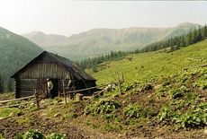 Hala Czuchrowa. Fot. Dariusz Hop